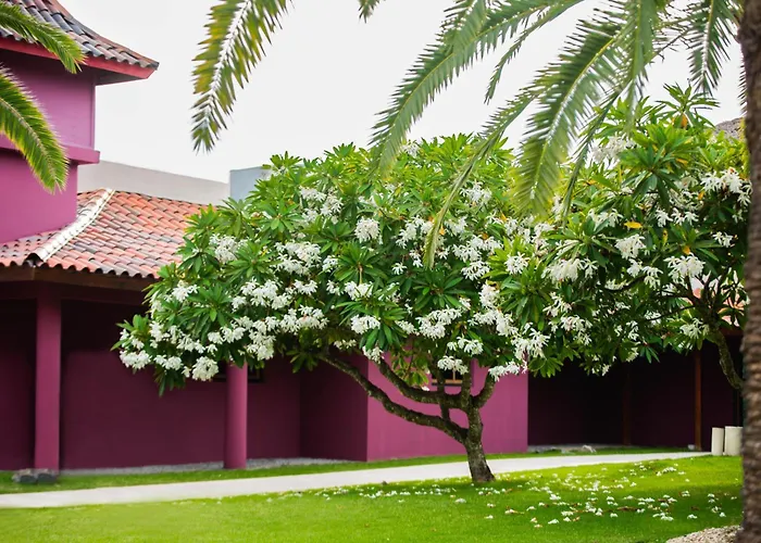 Caribe Deluxe Princess