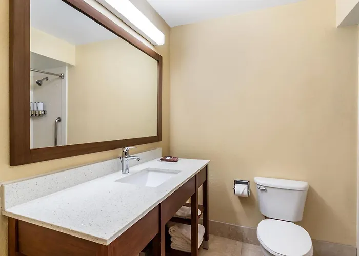 Comfort Suites Bush Intercontinental Airport