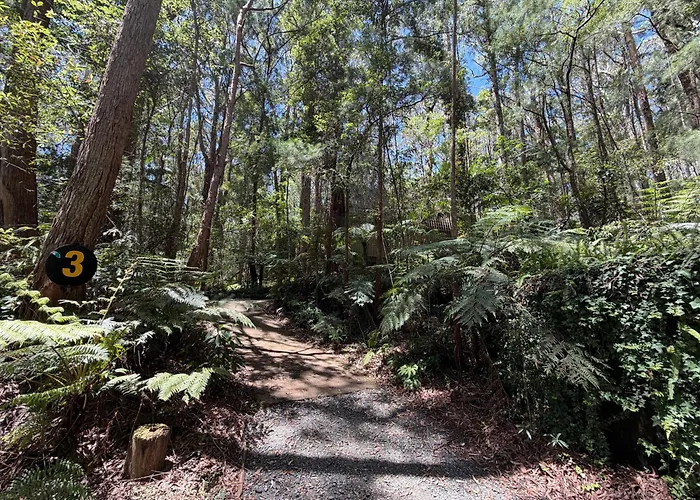 Springbrook Mountain Chalets