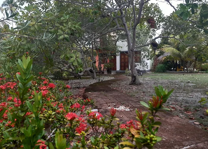 Ecolodge Batel Alagoas