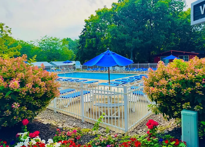 Island Club Rentals