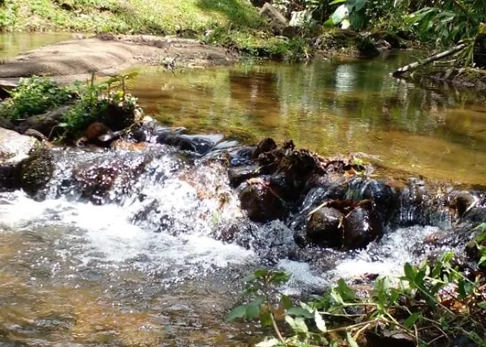 Havilá Arara Azul