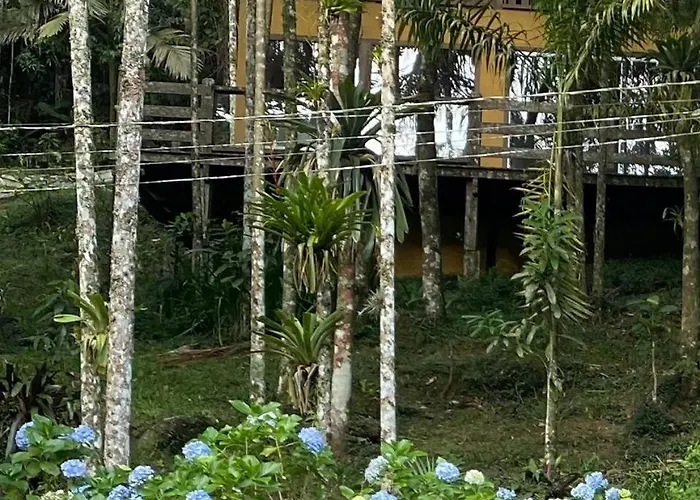 Havilá Arara Azul
