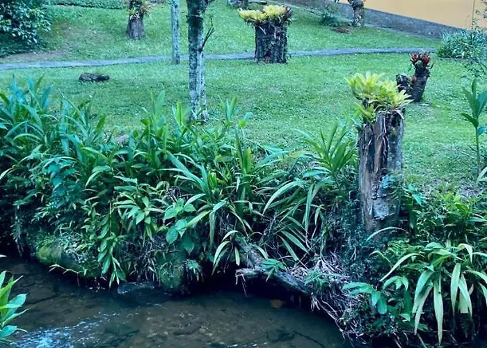 Havilá Arara Azul