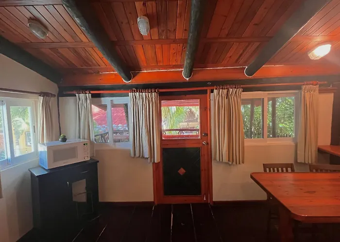 The Diving Lodge Downtown