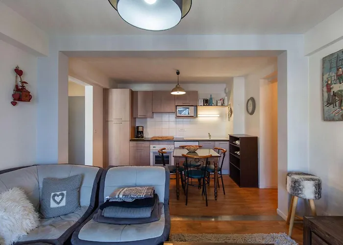 Coquet Appartement 4 Personnes, 2 Chambres Face Aux Pistes De La Mongie