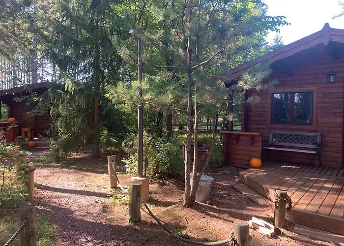 Honeybear Hideaway Cabin
