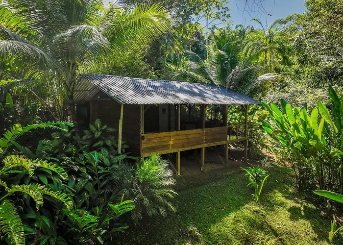 Private Jungle “Loft Del Rio” River Access
