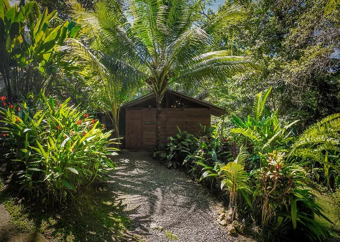 Private Jungle “Loft Del Rio” River Access