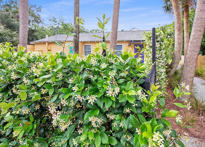 Folly Vacation Laid Back Casual Beach Bungalow 209-B