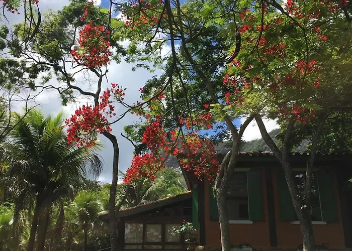 Guest House Tânia Alves