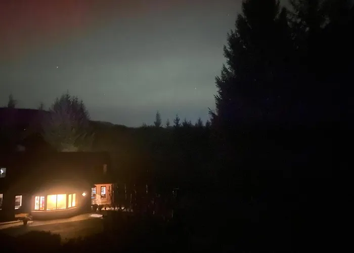 Forest View Woodland Lodge