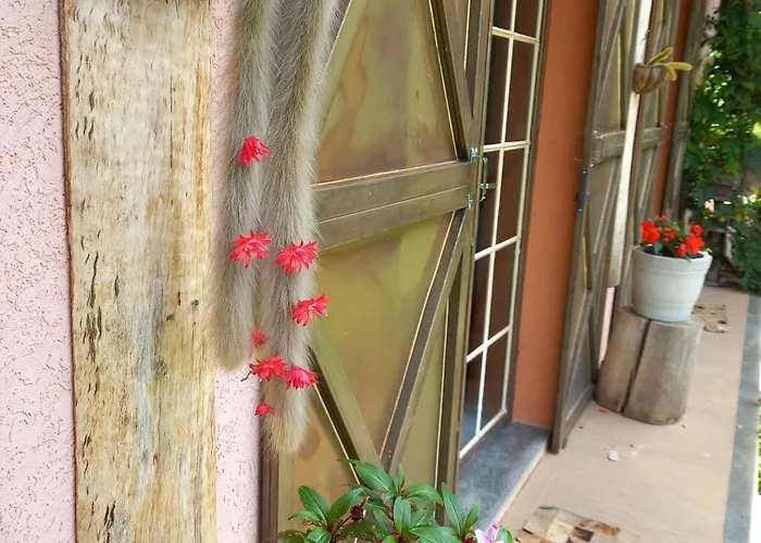 Rancho dos Pássaros Amarelos