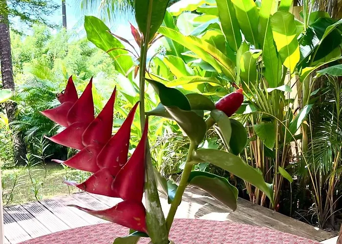 Majo Lounge Dans Un Jardin Tropical Vue Mer ,5 Min De La Plage Caraibe