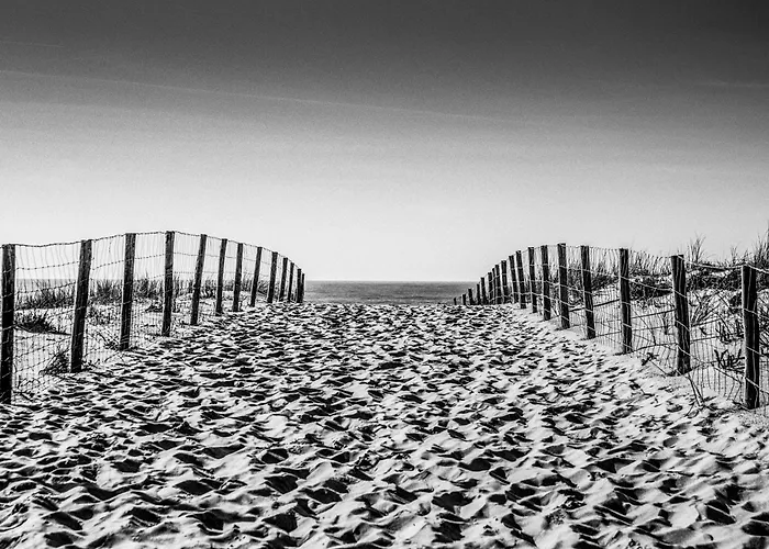 Beach House