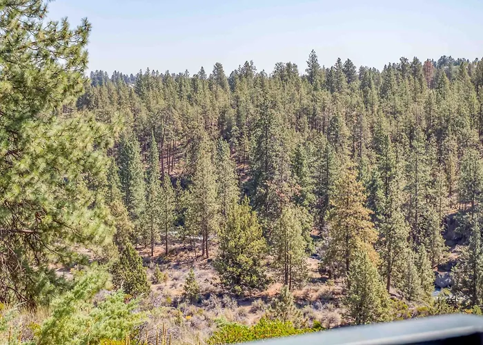 River Ridge 316A