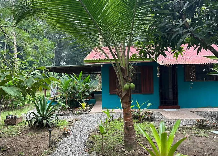 Mono Azul Cahuita
