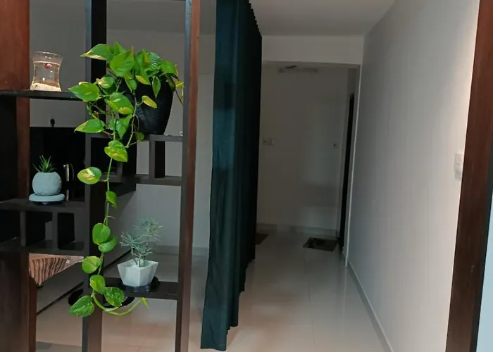 Magnola Hotels