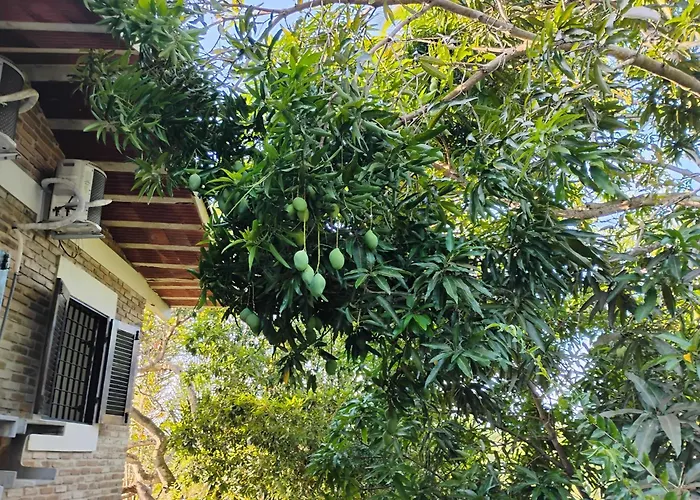 Olinda sítio Histórico Alto da Sé