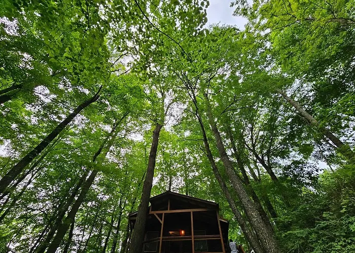 Romantic Fall Foliage Couples Cabin, Private Hot Tub, Ev Station, Fast 600 Mbps Wifi