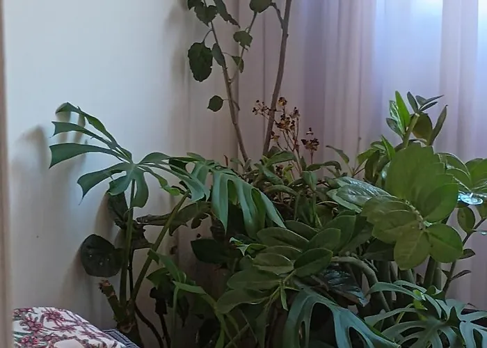 Oasis Interior