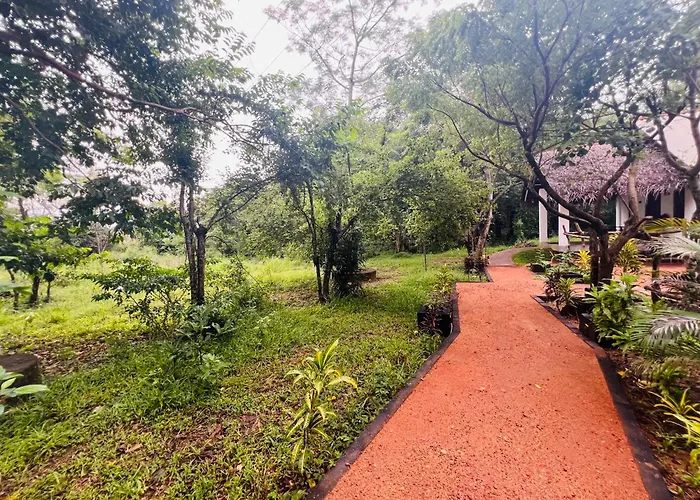 Sigiriya Coconut Shade Resort