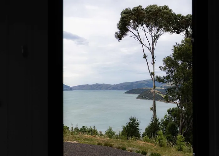 Kukupa Puni At Akaroa Lavender By Tiny Away