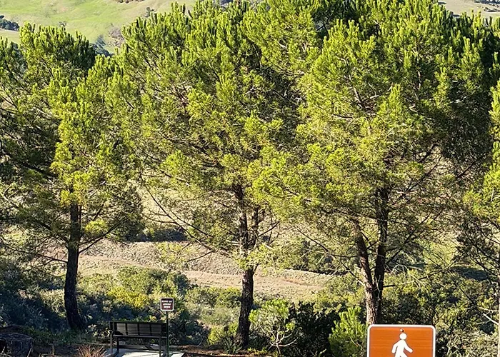 Mountain Top Getaway, Best View In Slo! - Whole House