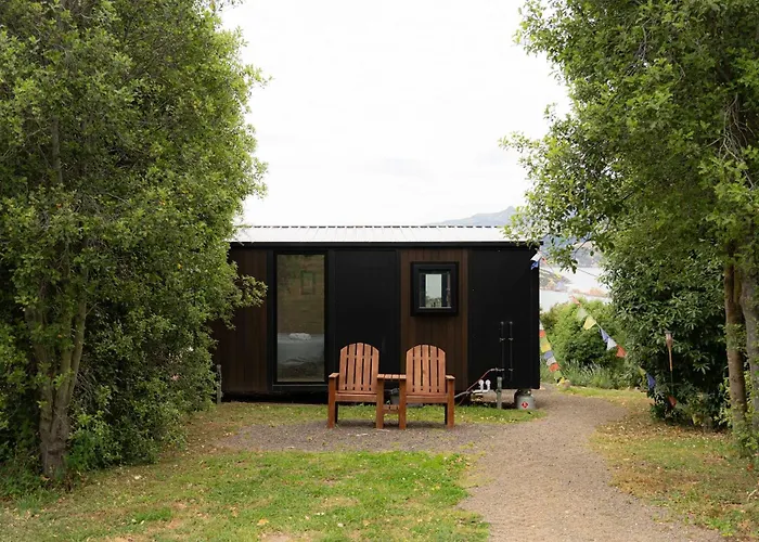 Kukupa Taunga At Akaroa Lavender By Tiny Away