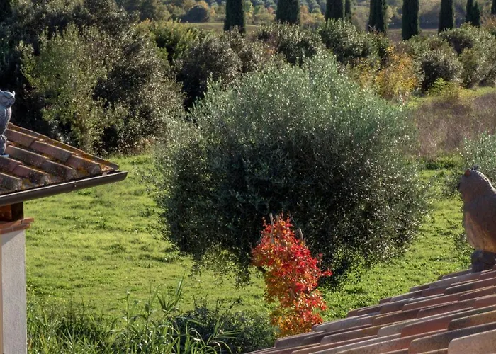 Maremma Design