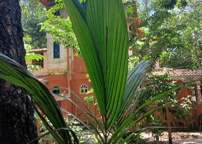 Solar Da Floresta