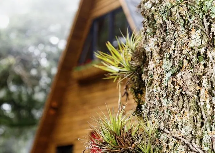 Cabana Araucária ao lado de Gramado