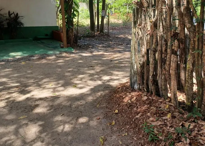 Solar Da Floresta