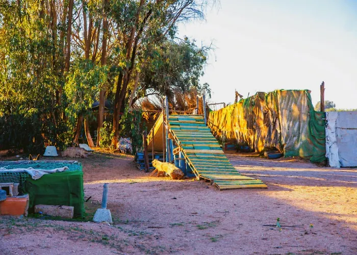 Traditional Berber Eco Farm Stay