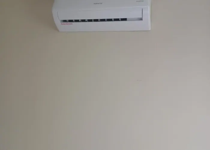Solar Da Floresta