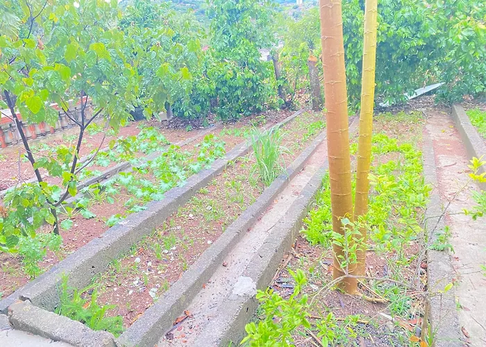 Pousada recanto paraíso de jarinu