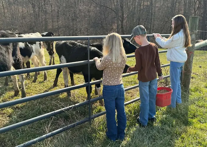 Cozy Cottage On 250 Acre Dairy Farm Near Ark