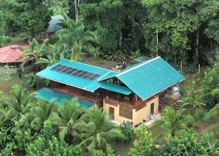 Terra Naturama - Off Grid Living In The Jungle