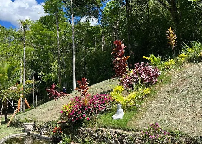 Guest House Tânia Alves