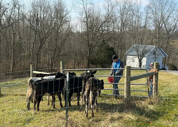 Cozy Cottage On 250 Acre Dairy Farm Near Ark