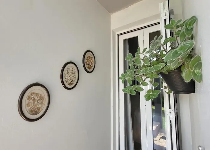 Pousada Casa Thede
