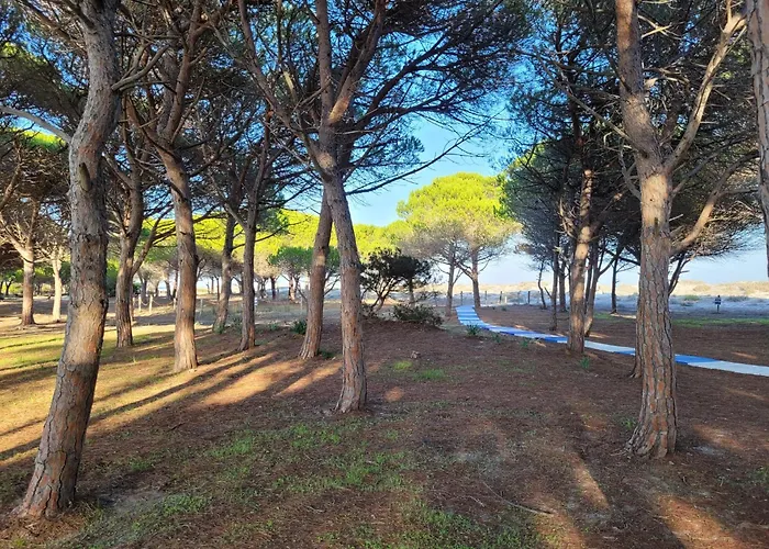 40 Casa