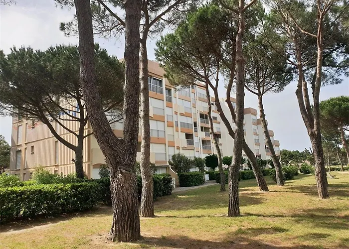 Appartement T2 En Bord De Mer - Terrasse - Parking - Argeles-Sur-Mer