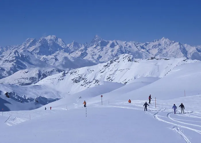 Grand Studio Ski Aux Pieds, Lumineux Et Animaux Acceptes