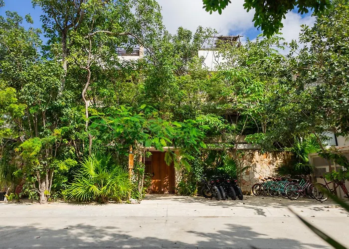 Teva Tulum, Aldea Zama