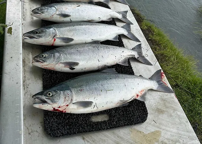 On-Site Kenai River Fishing: Soldotna Apartment!