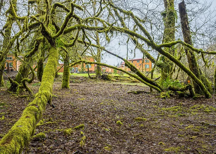 Rainforest Tiny Home Retreat Coastal