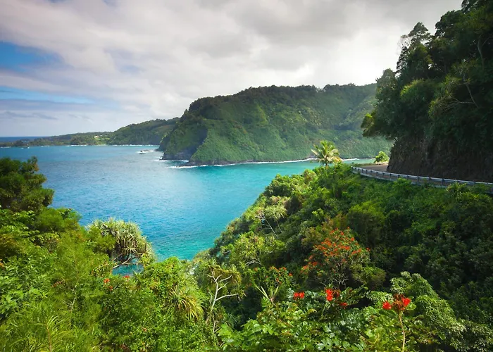 Beautiful 1 Bedroom Condo With Ocean Views | Oceanfront
