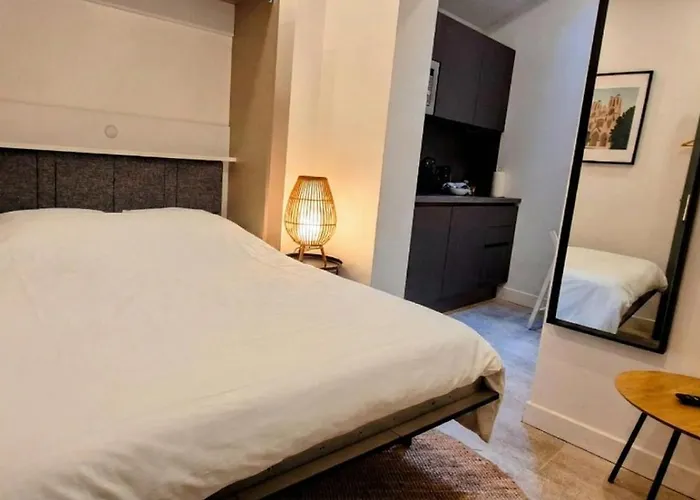 Residence Langlet - Appartements & Studios Premium Climatises - Hyper-Centre Reims