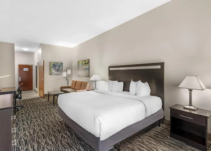 Best Western Plus Mcdonough Inn & Suites